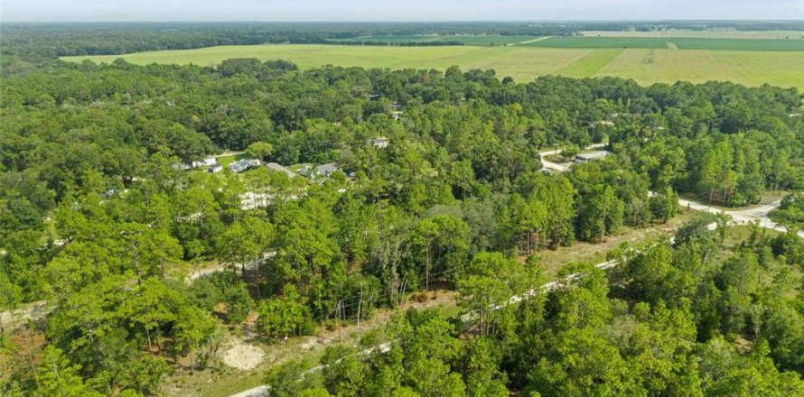 Terrain à Williston, Floride № 2259119