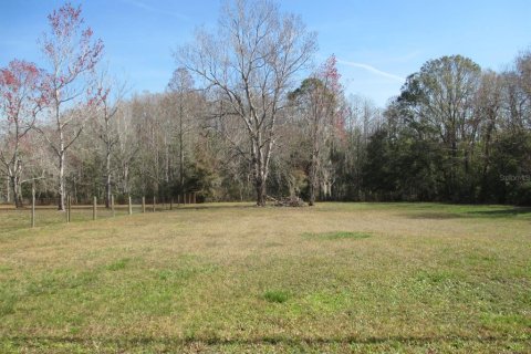 Land in Homosassa, Florida № 1721575 - photo 1