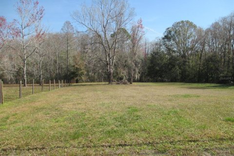 Land in Homosassa, Florida № 1721575 - photo 4