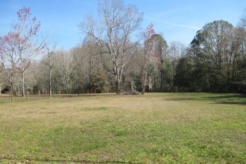 Land in Homosassa, Florida № 1721575 - photo 5