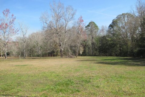 Land in Homosassa, Florida № 1721575 - photo 6