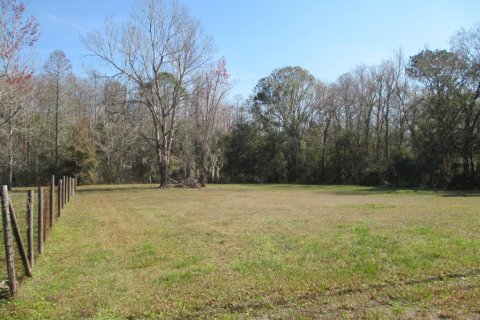 Land in Homosassa, Florida № 1721575 - photo 2