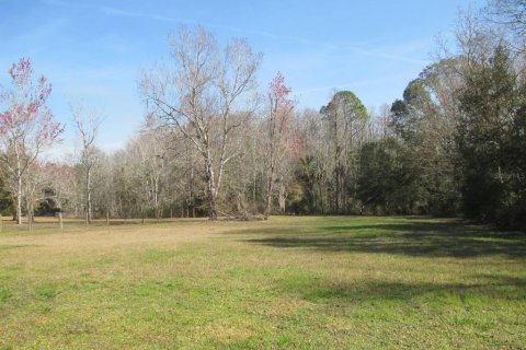Land in Homosassa, Florida № 1721575 - photo 7