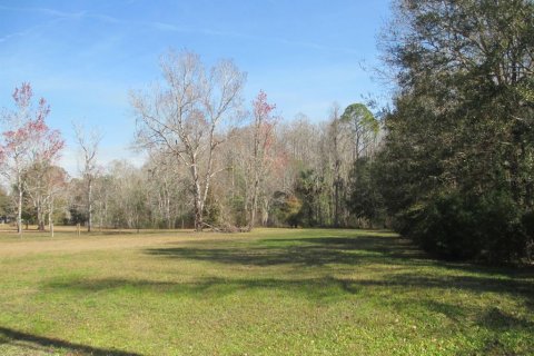 Land in Homosassa, Florida № 1721575 - photo 8