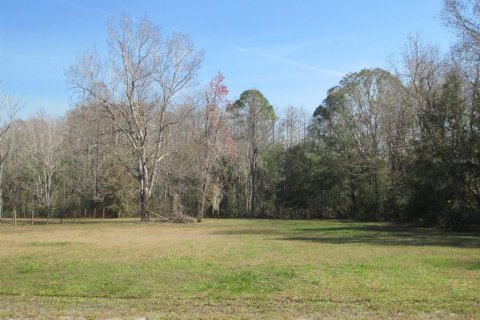 Land in Homosassa, Florida № 1721575 - photo 3