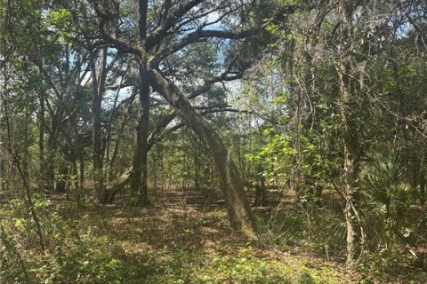 Terrain à vendre à Brooksville, Floride № 2151292 - photo 6