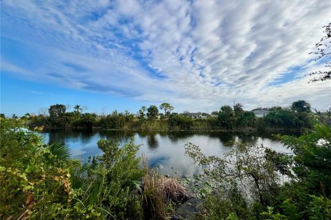 Land in Cape Coral, Florida № 1065968 - photo 2