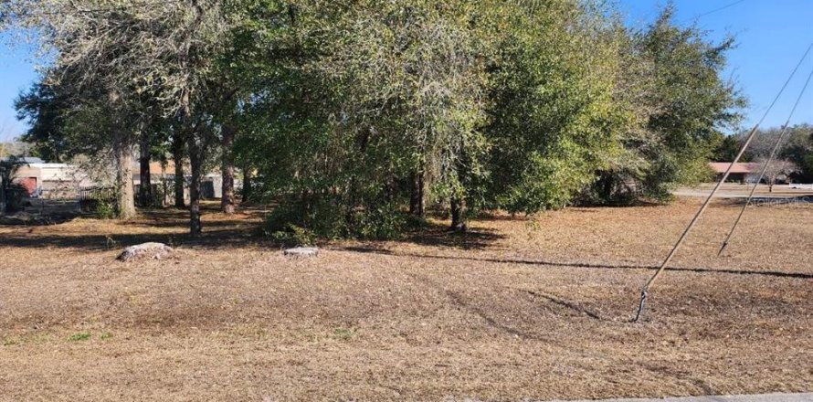 Land in Summerfield, Florida № 2103792