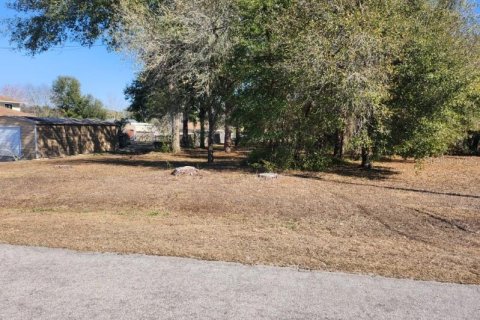 Land in Summerfield, Florida № 2103792 - photo 4