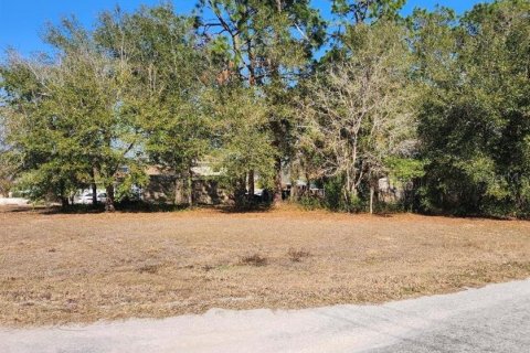 Land in Summerfield, Florida № 2103792 - photo 2