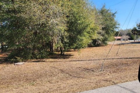 Land in Summerfield, Florida № 2103792 - photo 3