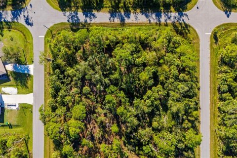 Terrain à vendre à Port Charlotte, Floride № 1518992 - photo 4