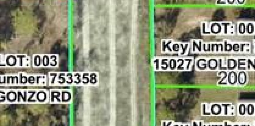 Land in Brooksville, Florida № 2159831