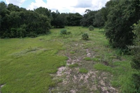 Terrain à vendre à Brandon, Floride № 2388932 - photo 21