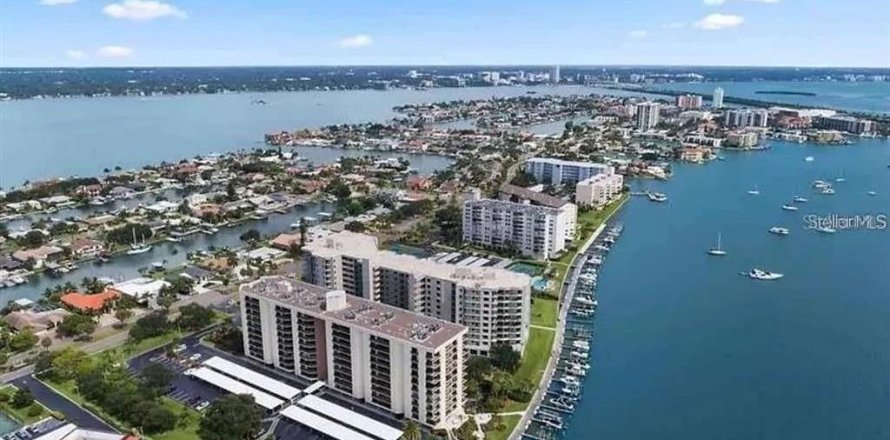 Condo in Clearwater, Florida, 1 bedroom  № 1663125
