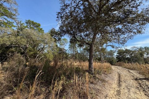 Terrain à vendre à Dunnellon, Floride № 1515071 - photo 4