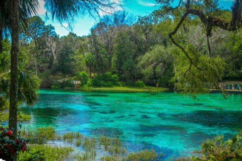 Terrain à vendre à Dunnellon, Floride № 1515071 - photo 7