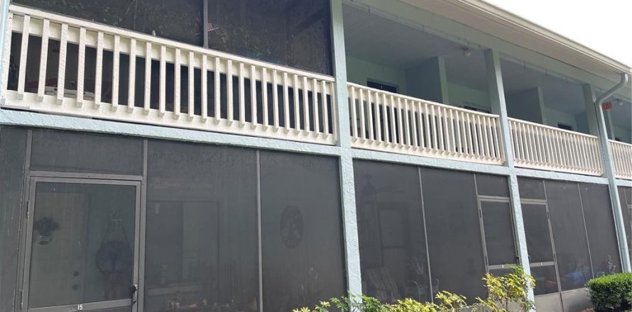 Condo à Lutz, Floride, 1 chambre № 1684975