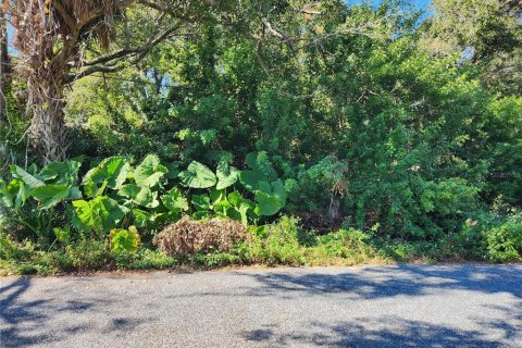 Land in New Port Richey, Florida № 2353347
