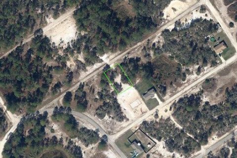 Immobilier commercial à Lake Placid, Floride № 2271543