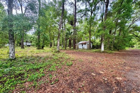 Land in Salt Springs, Florida № 2164864