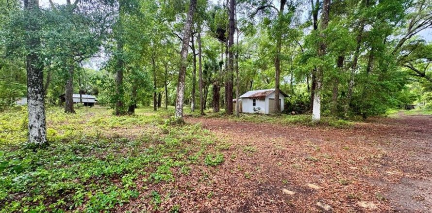 Land in Salt Springs, Florida № 2164864
