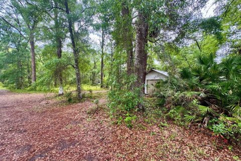 Land in Salt Springs, Florida № 2164864 - photo 6