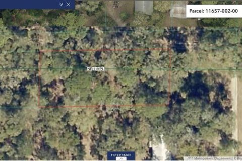 Land in Salt Springs, Florida № 2164864 - photo 7
