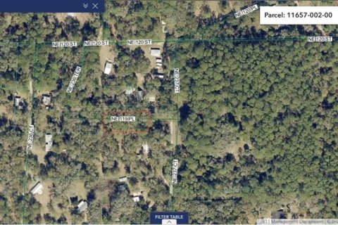 Land in Salt Springs, Florida № 2164864 - photo 8