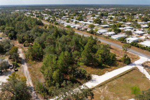 Terreno en venta en Brooksville, Florida № 1905732 - foto 12