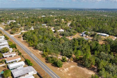 Terreno en venta en Brooksville, Florida № 1905732 - foto 11
