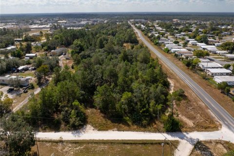 Terreno en venta en Brooksville, Florida № 1905732 - foto 13