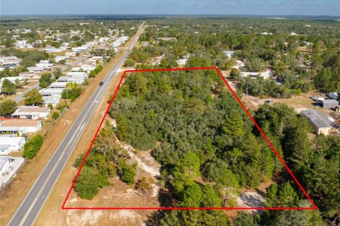 Terreno en venta en Brooksville, Florida № 1905732 - foto 3