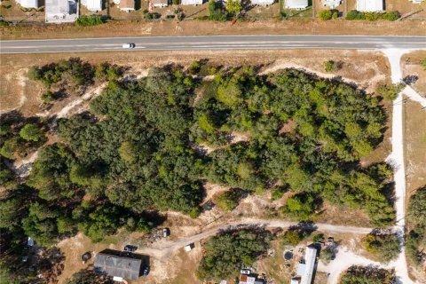 Terreno en venta en Brooksville, Florida № 1905732 - foto 8