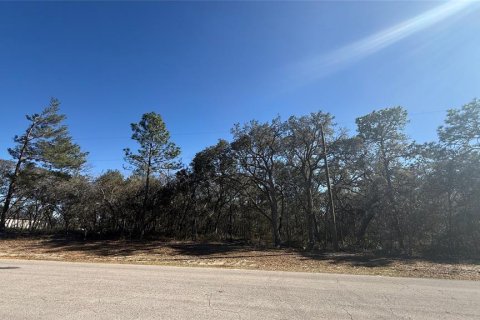 Land in Ocala, Florida № 2345214