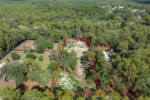 Land in Dunnellon, Florida № 1800572 - photo 4