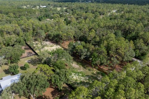 Land in Dunnellon, Florida № 1800572 - photo 5