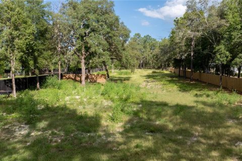 Land in Dunnellon, Florida № 1800572 - photo 2