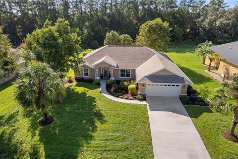 Casa en Dunnellon, Florida 3 dormitorios, 193.14 m2 № 2373953