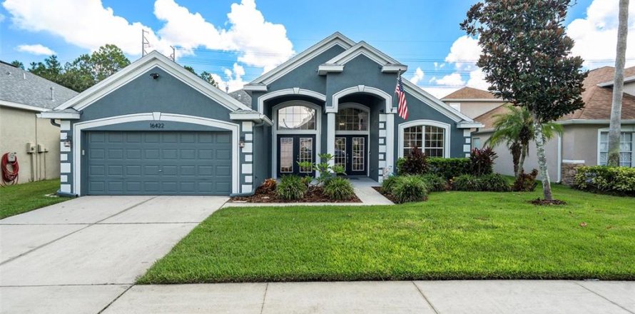 House in Fish Hawk, Florida 5 bedrooms, 246.93 sq.m. № 1904748