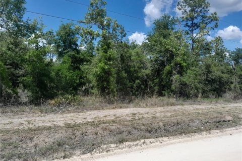 Land in Williston, Florida № 1673319 - photo 2
