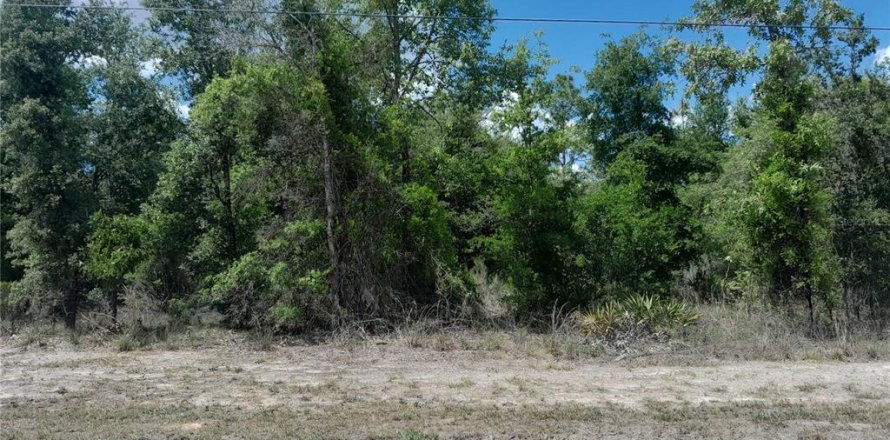 Land in Williston, Florida № 1673319