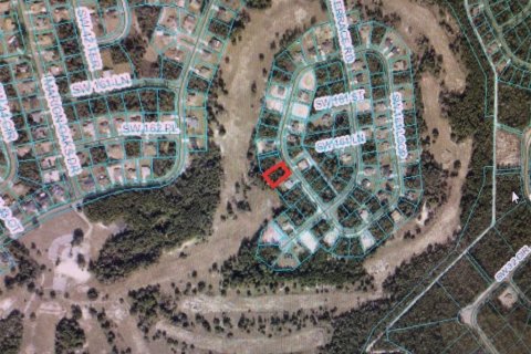 Terreno en venta en Ocala, Florida № 1716817 - foto 3