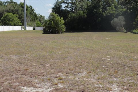 Terrain à vendre à New Port Richey, Floride № 2205230 - photo 5