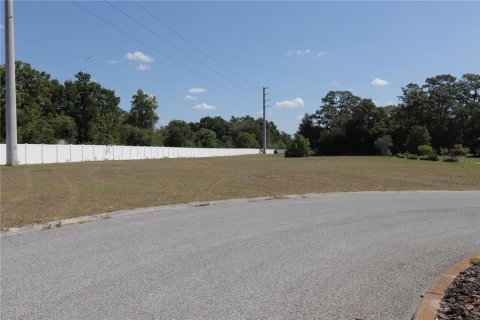 Terrain à vendre à New Port Richey, Floride № 2205230 - photo 4