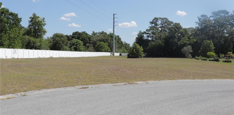 Terrain à New Port Richey, Floride № 2205230