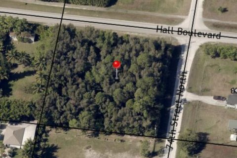 Commercial property in Loxahatchee Groves, Florida № 2432921 - photo 2