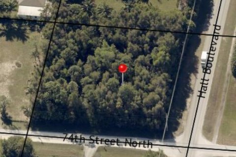 Commercial property in Loxahatchee Groves, Florida № 2432921 - photo 3