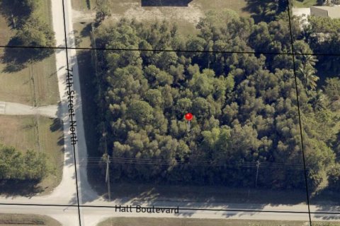 Commercial property in Loxahatchee Groves, Florida № 2432921 - photo 4