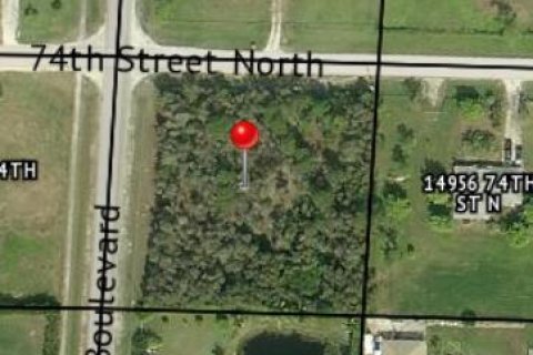 Commercial property in Loxahatchee Groves, Florida № 2432921